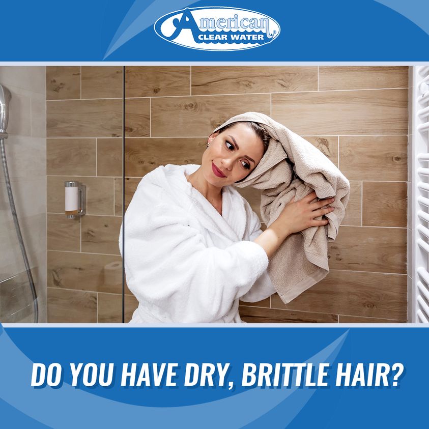 Read more about the article Having a Water Filter will Help your Hair
