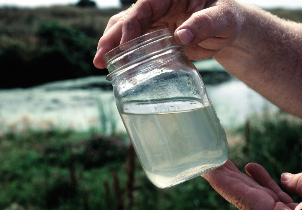 Water sample taken from the last wetland in a filtering system in use on the Steve Kern farm in Taylor County, Iowa. The system uses a series of hillside terraces that form constructed wetlands that also use bacteria to purify wastewater from a hog operation. Early tests by Kern indicated the water was cleaner than that required of wastewater treatment plants.